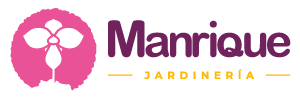 Phragmipediumkovachii - Jardinería Manrique